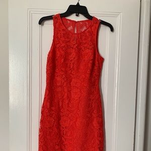 J.Crew Collection Lace Dress in Coral